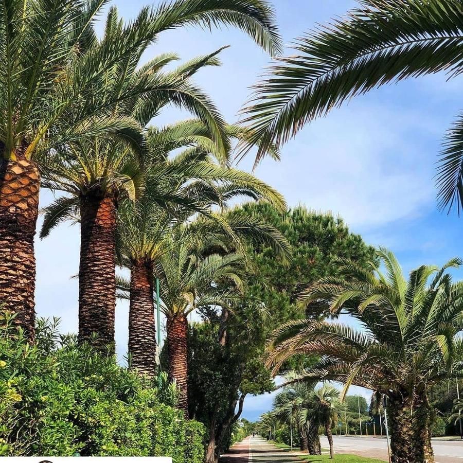 Hotel Etruria Forte dei Marmi Exterior photo